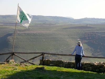 View from Castle of Marmilla