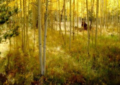 Aspen Study #7