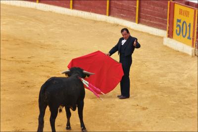 Bullfight in Benalmadena