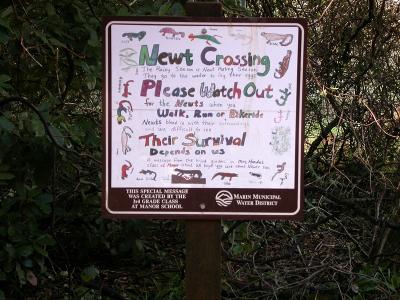 Artistic kids and their Newt Crossing Sign