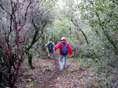 Hiking down the steep Lagunitas Fire Trail