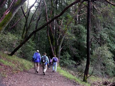 Walking along Lake Lagunitas