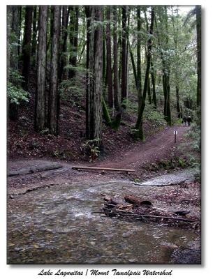 More water flowing into Lagunitas Lake