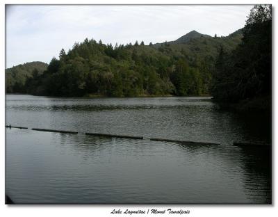 Lake Lagunitas and Mt. Tam