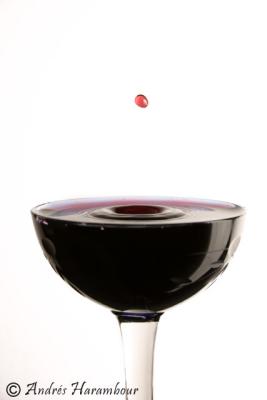Gota de Vino