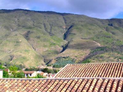 The roofs in Villa de Leyva