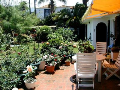 Back Patio.jpg