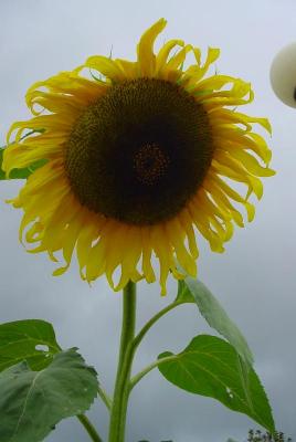 web_dsc01008.jpg