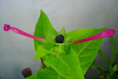 web_dsc01112.jpg