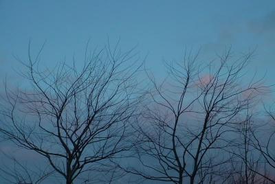 web_dsc01977.jpg
