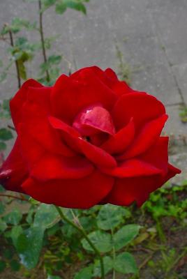 web_dsc02669.jpg