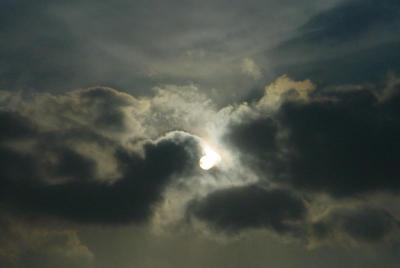 web_dsc02229.jpg