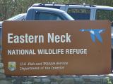 Eastern Neck NWR