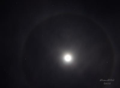 u15/canon_300d/medium/38900053.0407MoonRingSig.jpg