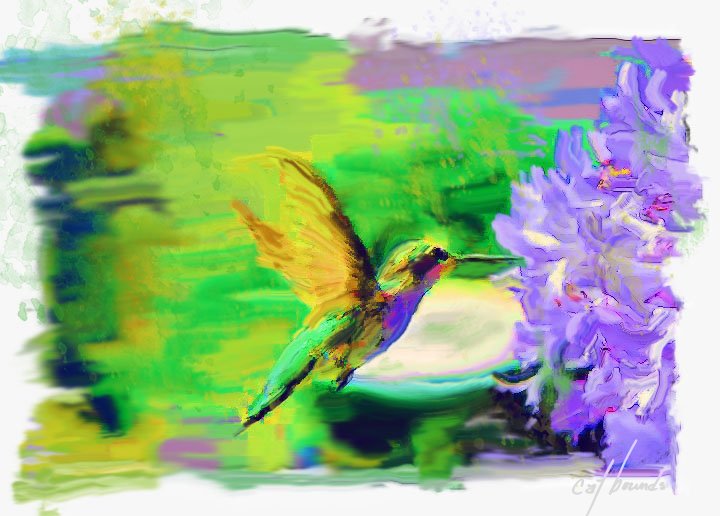 a hummingbird homage to neiman.jpg