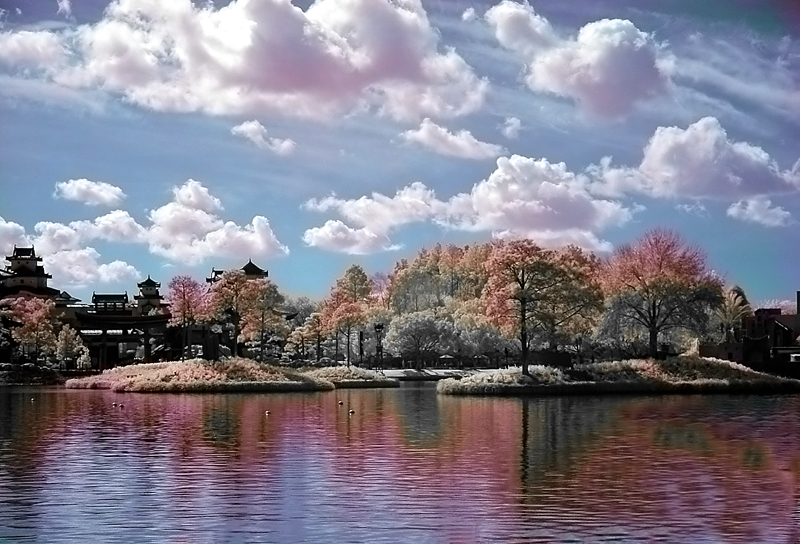 epcot islands infrared