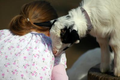 april 10 goat 10.jpg