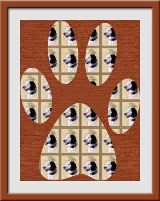 Doc-Tiled.jpg