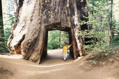 Yosemite