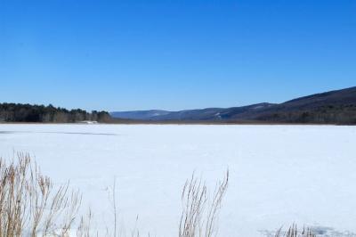 DSC_4710.jpg