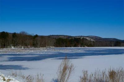 bashakill in the winter