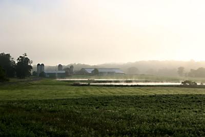 Morning on the farm