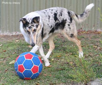 playing with soccer ball