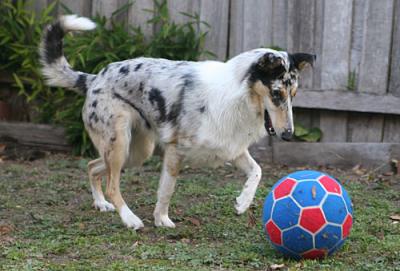 playing with soccer ball