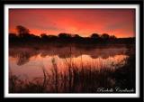 Fiery Morning on Cottonwood Pond