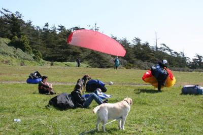 IMG_3317.JPG