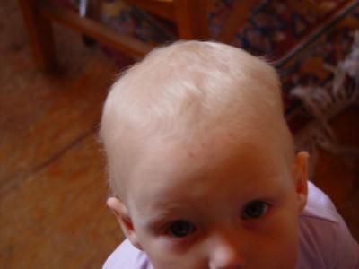 DSC02496.jpg