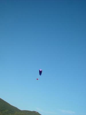 DSC02529.jpg