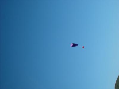 DSC02530.jpg