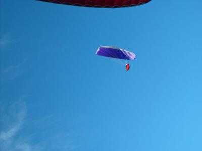 DSC02531.jpg