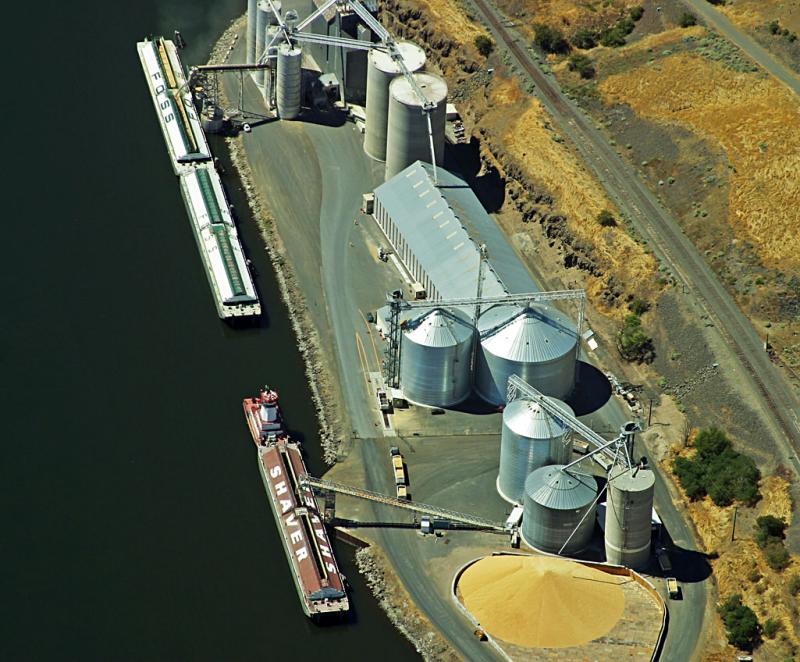 Grain loading, Washington state