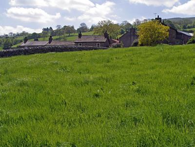 A field in the Lake District