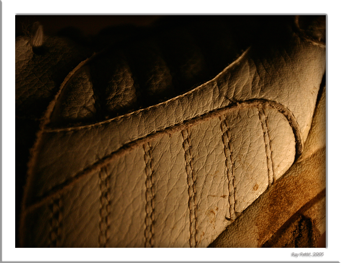 January 21 2005: <br> Just Photograph It