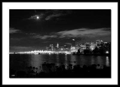 Nightscape bw