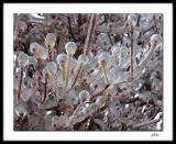 Ice sculpture