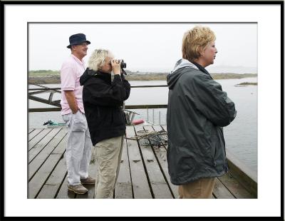 ...stopping at Cape Newagen to look at osprey...