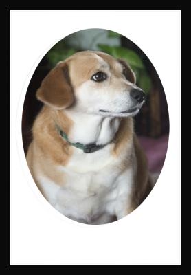 Rosey Posey portrait.