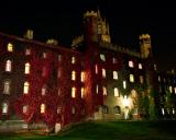 Red Vined Castle