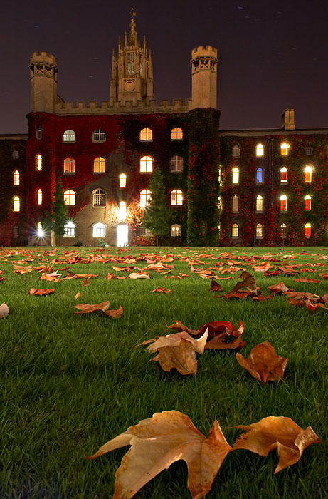 Johns Leaves