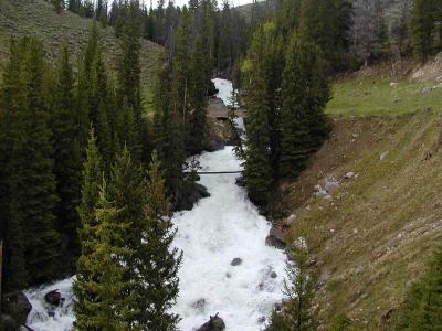 East of Cooke City, Montana