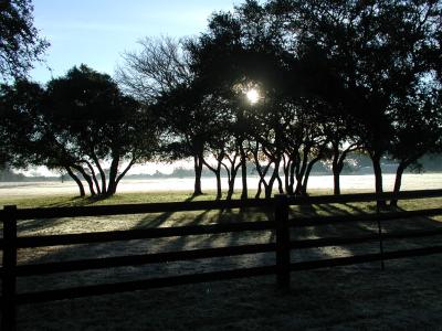 121401FrostyMorn2.JPG
