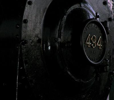 u15/creaturekinships/medium/38893025.wrjtrainforwebtrainnose.jpg