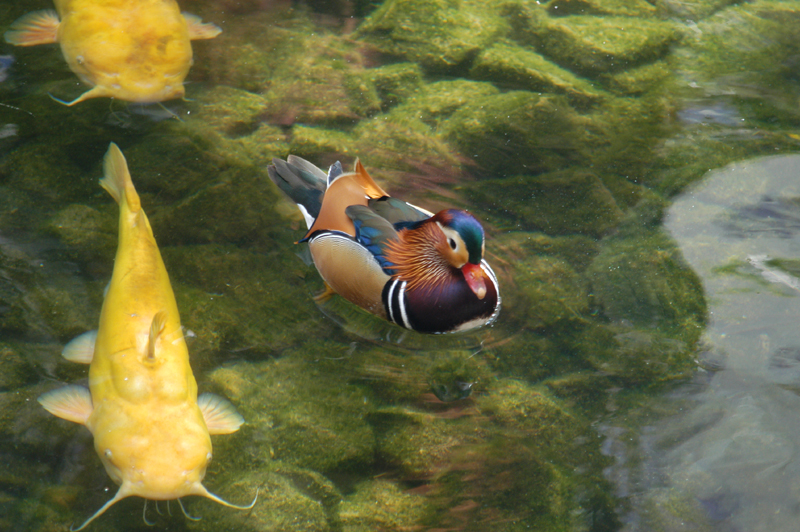 DSC_0024.jpg