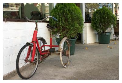 The Tricycle *