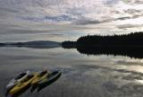 Quiet Morning (*)<br> by Ann Chaikin