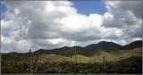 Desert Clouds *
